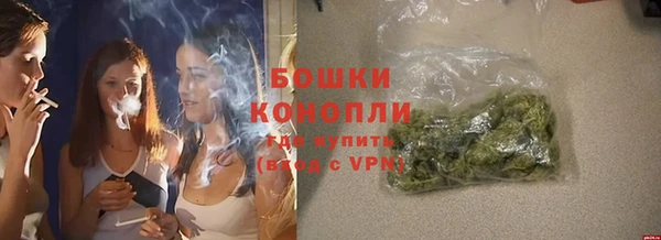мдпв Козловка