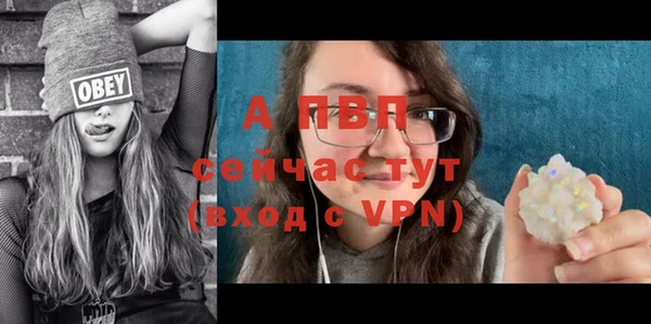 винт Гатчина