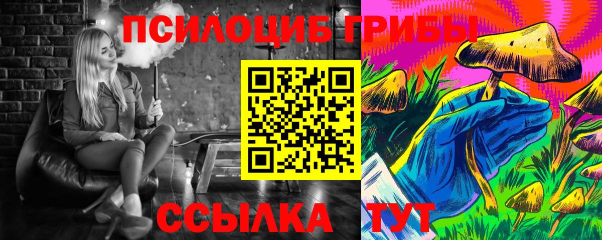 Кинешма  Галлюциногенные грибы Psilocybe  Вход с VPN 