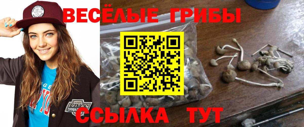 Экстази  Кинешма  МЕФ   NBOMe  МАРИХУАНА  Вход с VPN 