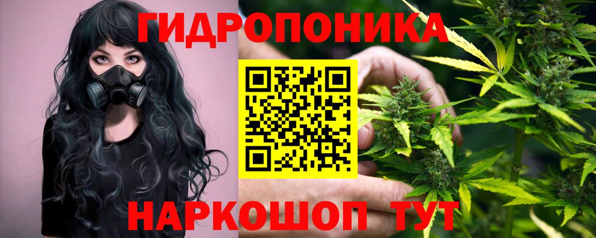 Шишки марихуана Amnesia Кинешма